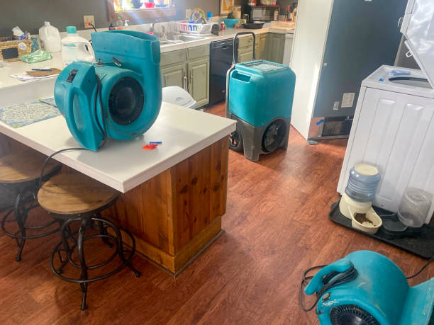 Best Basement water damage restoration  in Kimberly, WI