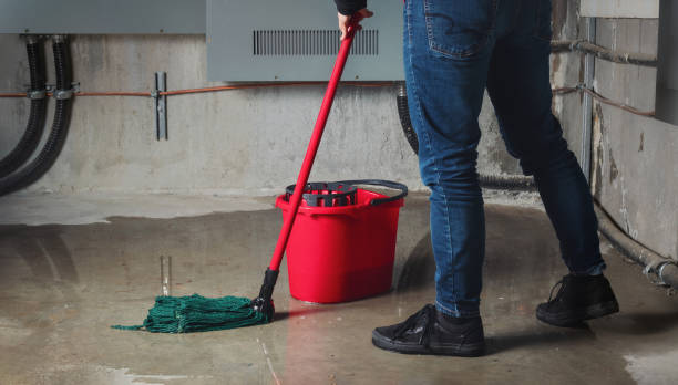 Best Water damage contractors near me  in Kimberly, WI