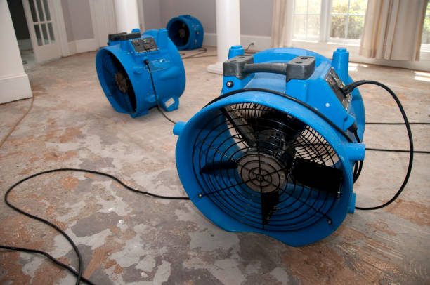 Best Sewage cleanup and water damage restoration  in Kimberly, WI