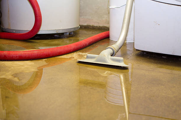 Best Water damage restoration near me  in Kimberly, WI