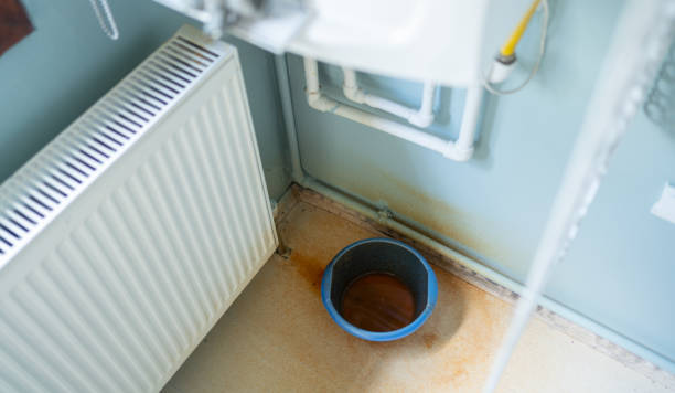 Best Mold removal after water damage  in Kimberly, WI