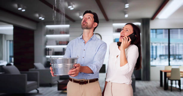 Best Carpet water damage restoration  in Kimberly, WI