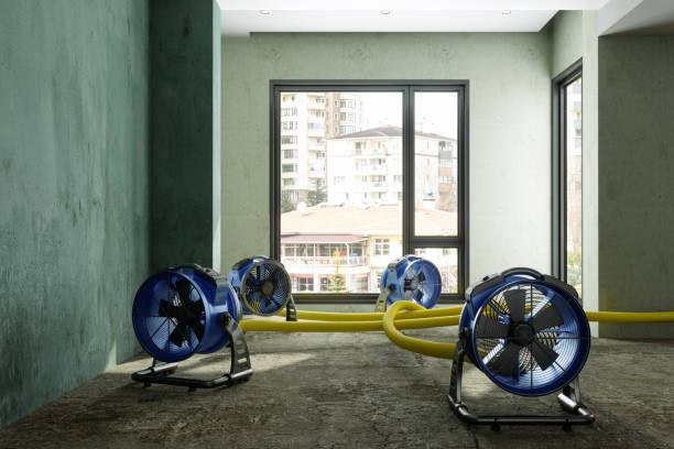 Best Water damage restoration specialists  in Kimberly, WI