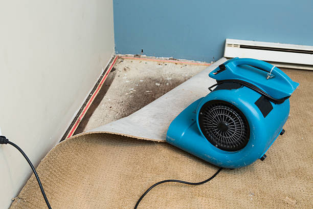  Kimberly, WI Water damage restoration Pros